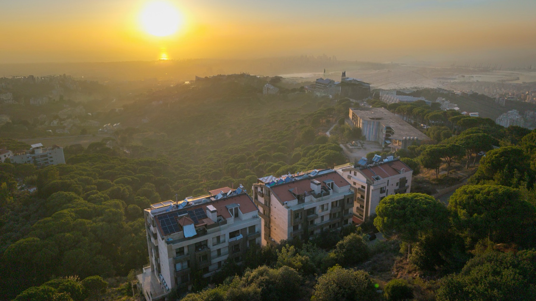 Pine forest canopy over the Metn hills at sunrise, coastline in the distance — representative landscape, not the specific site