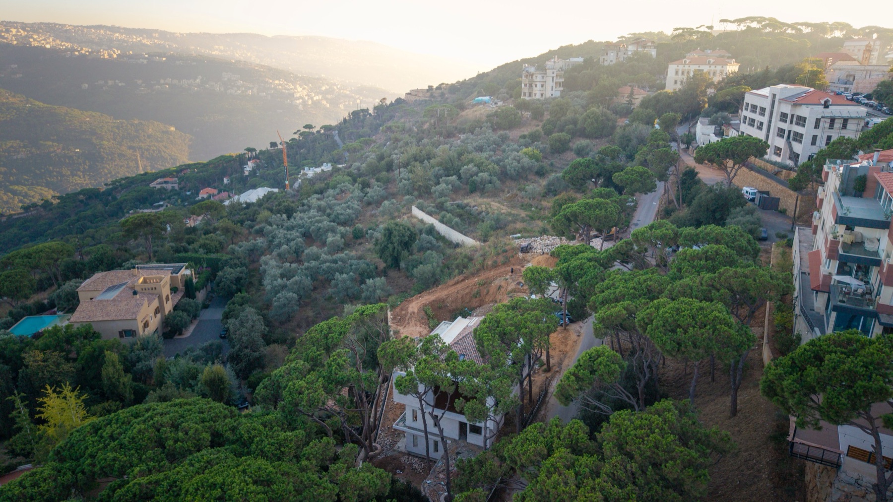 Pine and olive-covered Metn hillside at golden hour — representative landscape, not the specific site